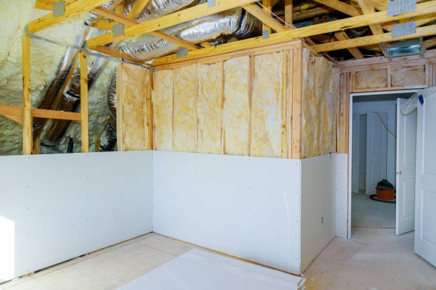 Best Eco-Friendly Insulation in Elverta, CA