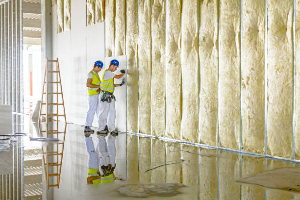 Best Cellulose Insulation in Elverta, CA